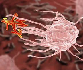 免疫细胞治疗癌症